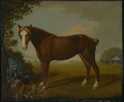 unknow artist Portrait of a Horse Germany oil painting artist